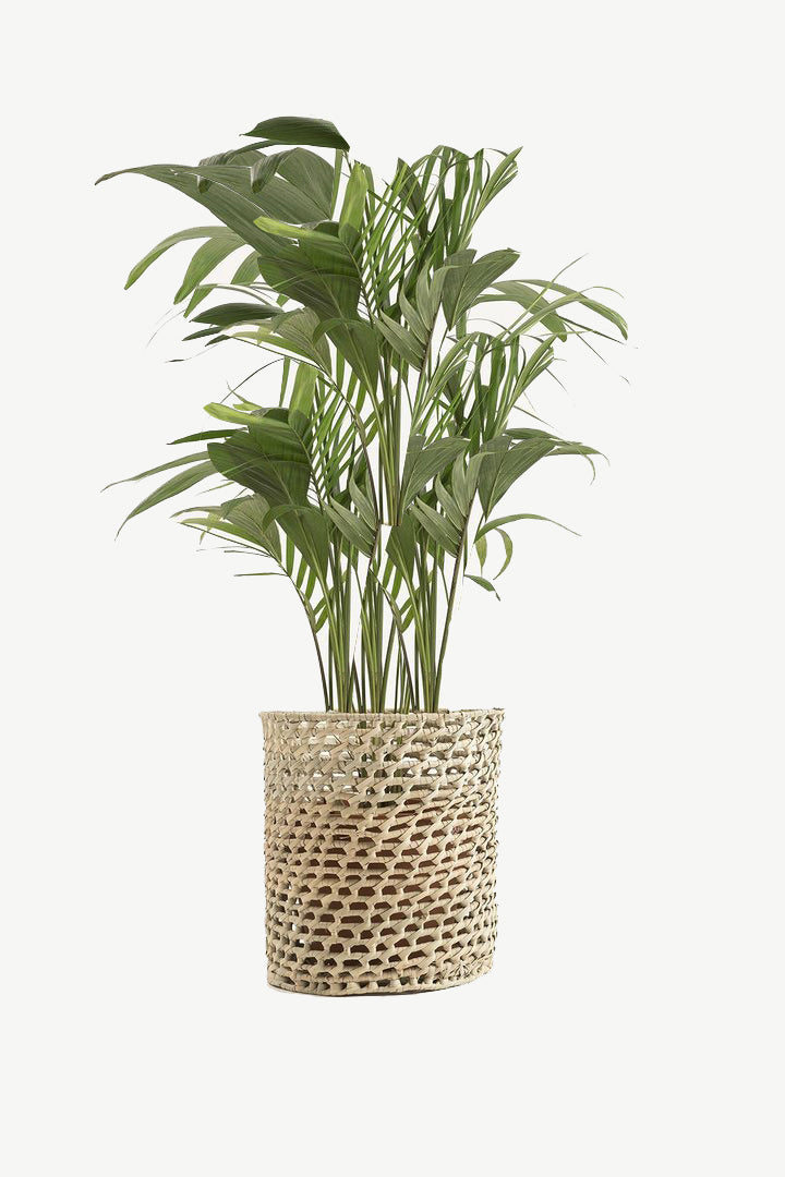 Hand Matters. Plant Pot Holder